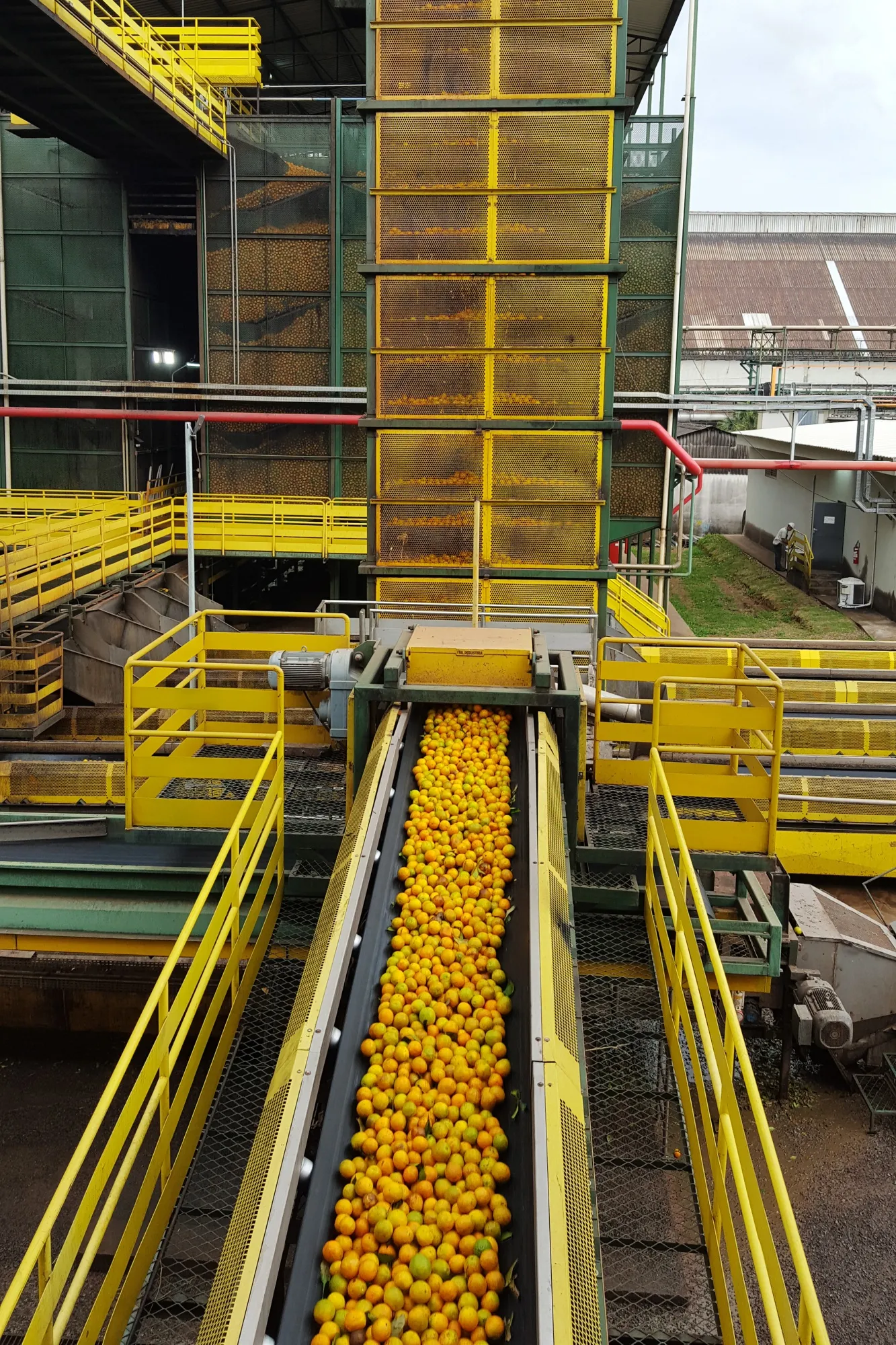 Oranges are mechanically selected at the Citrosuco plant in Matao municipality.