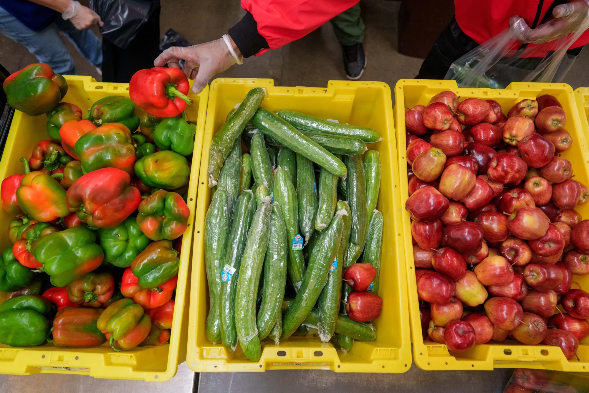 Volunteers sort donated food items at New York Common Pantry in New York on Oct. 31.&nbsp;