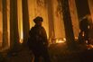 California's Heat Crisis Shifts To Fires Raging Statewide