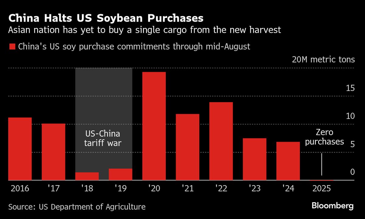 Reality of Trump’s Tariffs Starts to Show in German Trade Data
