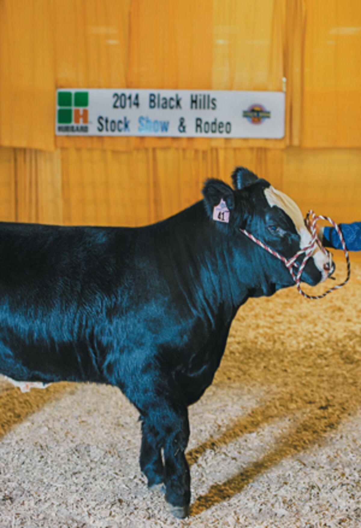 Beef's Country of Origin Labeling in U.S. Sparks Feud Bloomberg