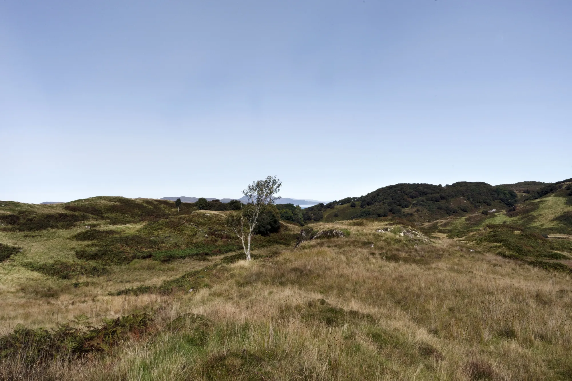 The Tayvallich Estate in Argyll&nbsp;&amp; Bute on the west coast of Scotland, UK. on Sept. 5.