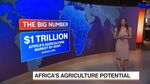Iran War Drives Africa’s Fertilizer Crisis