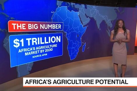 Iran War Drives Africa’s Fertilizer Crisis