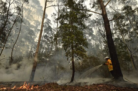 Wildfire-Weary Australians See No End to Unprecedented Calamity