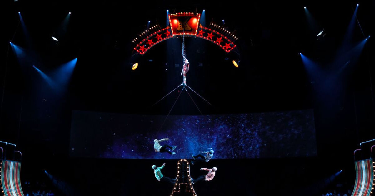 How Creativity Turned Cirque du Soleil Into an International Success