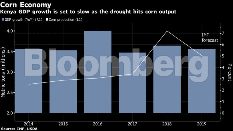 Kenya GDP growth is set to slow as the drought hits corn output