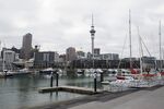 Yachts sit moored at a marina as the Sky Tower, center, and other buildings stand in the distance in Auckland.
