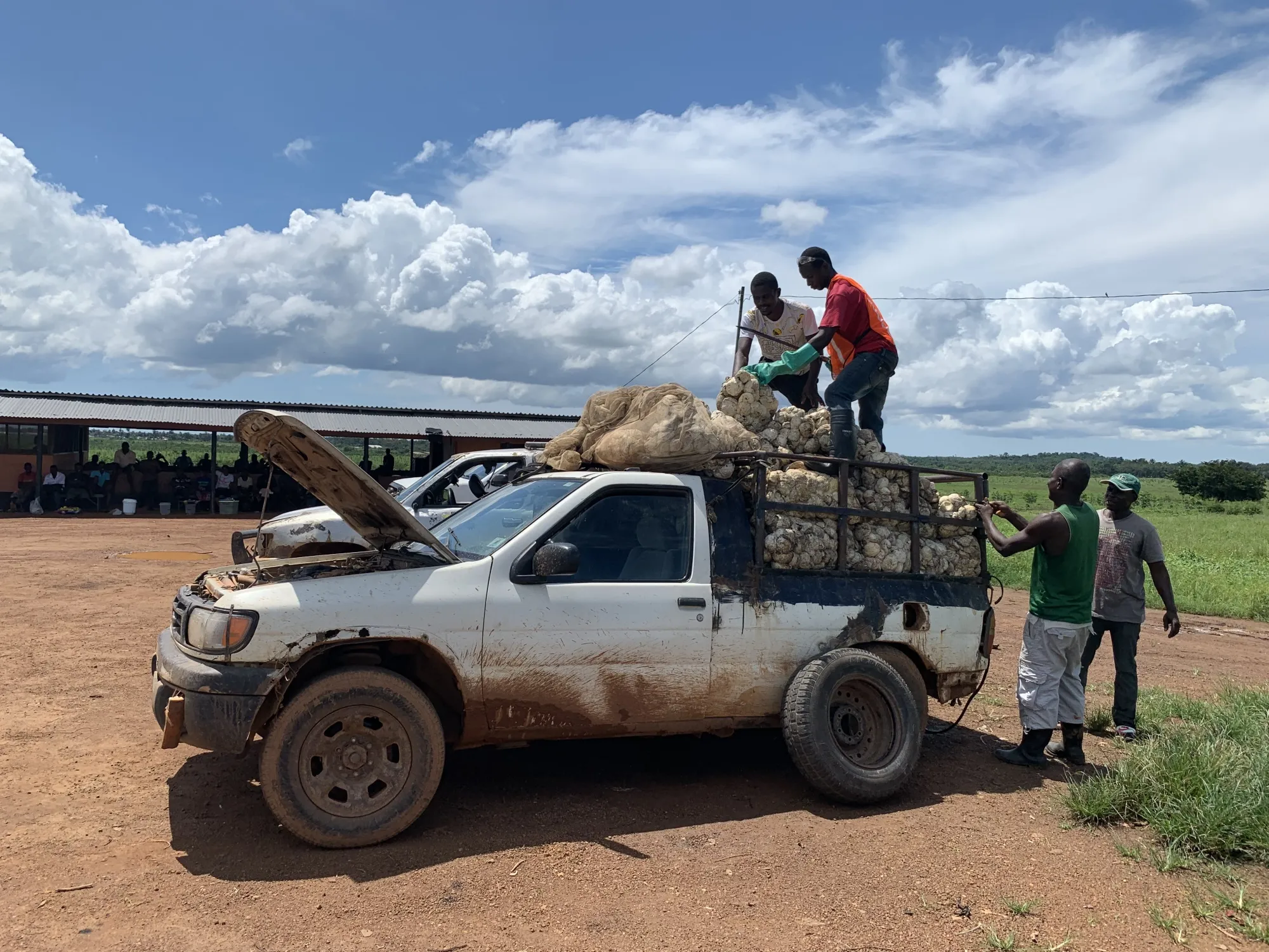 Workers pack rubber into a truck on the Firestone campus in Harbel, Liberia.&nbsp;