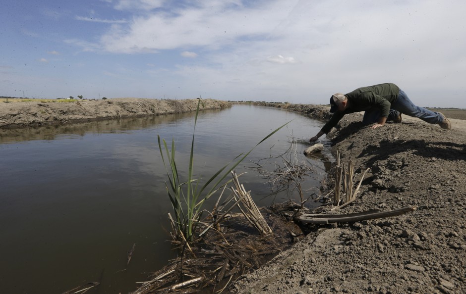Gino Celli draws a water sample to check the salinity in an irrigation canal that runs through his fields near Stockton, California.