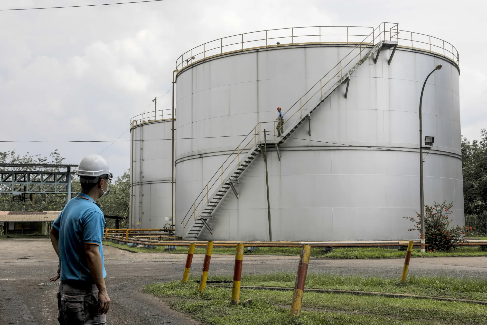 Operations at the IOI Group's Gomali Oil Mill and Palm Plantation