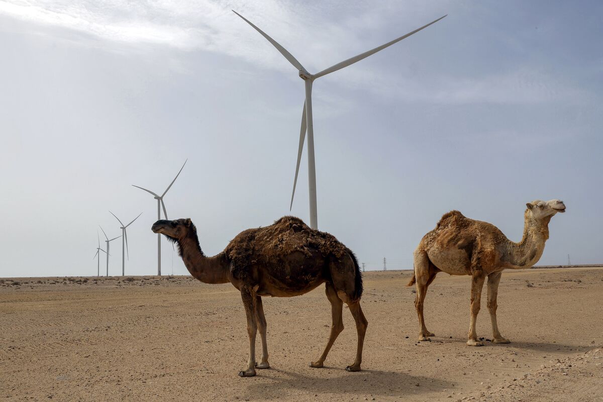 🟪"Il Regno Unito appoggia il piano marocchino per il Sahara Occidentale: un cambio di rotta storico"