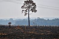 BRAZIL-FIRE-AMAZON-DEFORESTATION