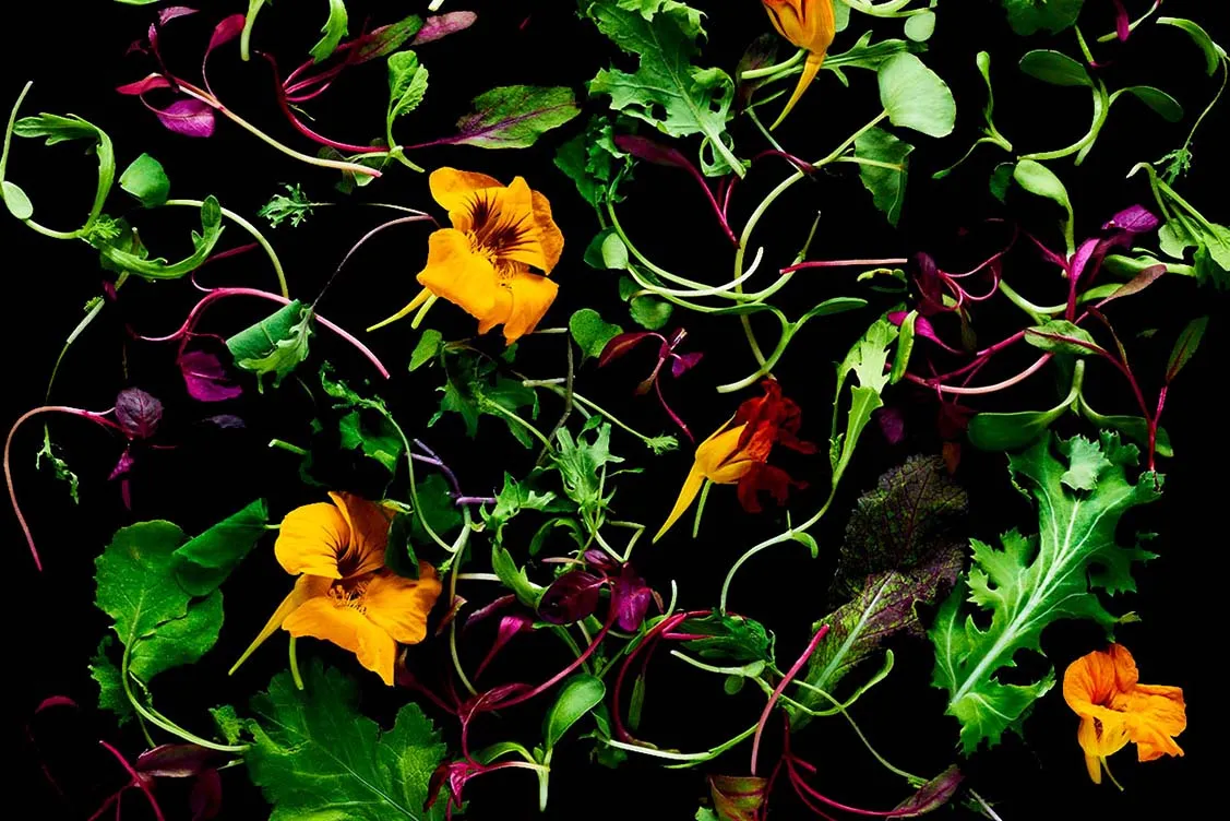 1497300251_social-food-microgreens-bloomberg