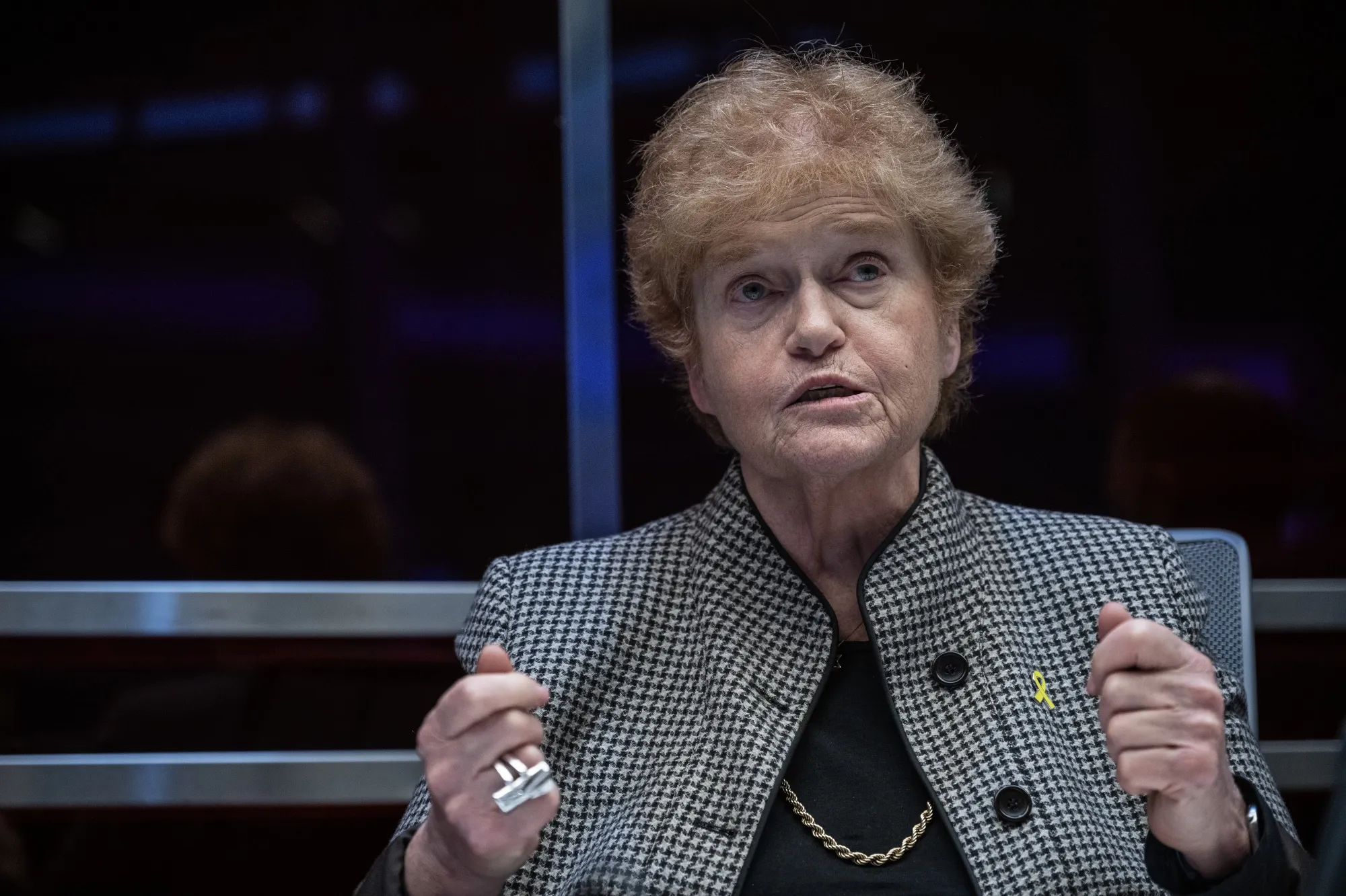 Deborah Lipstadt