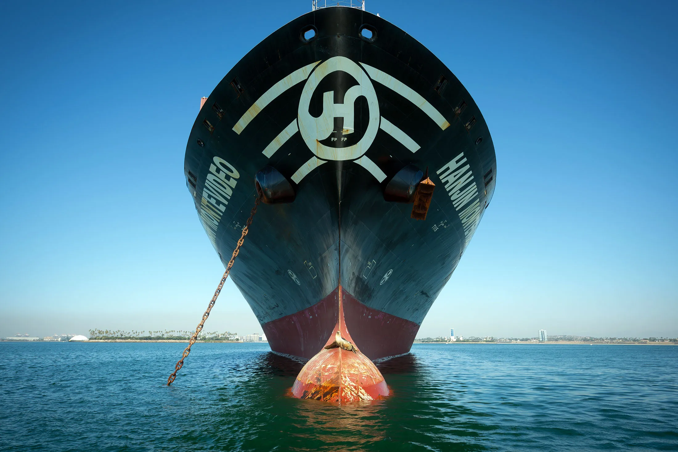 The Hanjin Montevideo cargo ship.
