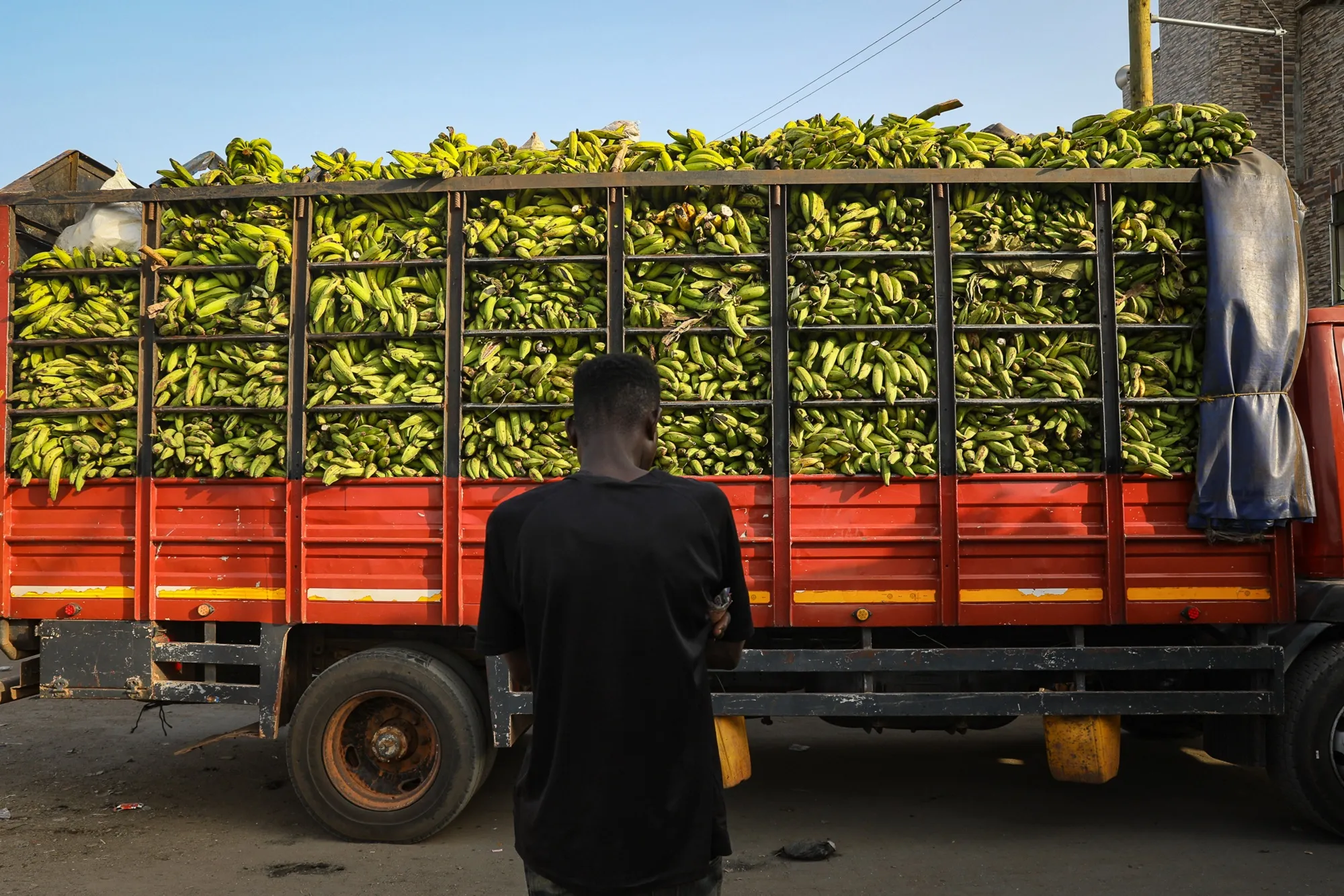 A delivery of yams at a food market in Accra, Ghana.