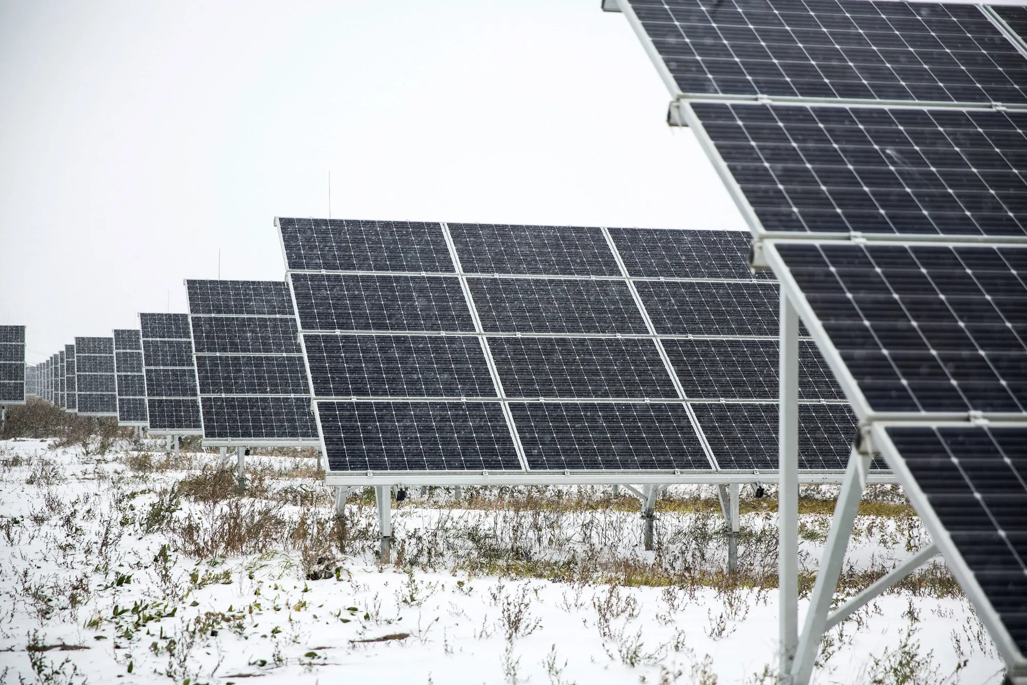 Generating Power And Food At The Everyday Farm LLC Monnaran Solar Farm Project