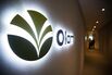 Olam International Ltd. CEO Sunny Verghese Presents Second-Quarter Earnings News Conference