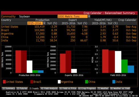 Global Soybean Supplies