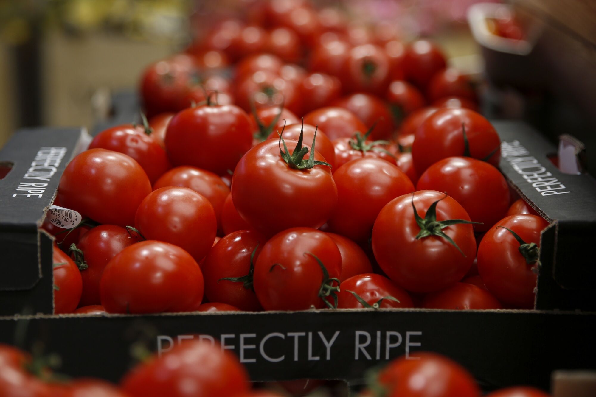 Tomato Shortage in UK Supermarkets After Bad Weather Disrupts Supplies
