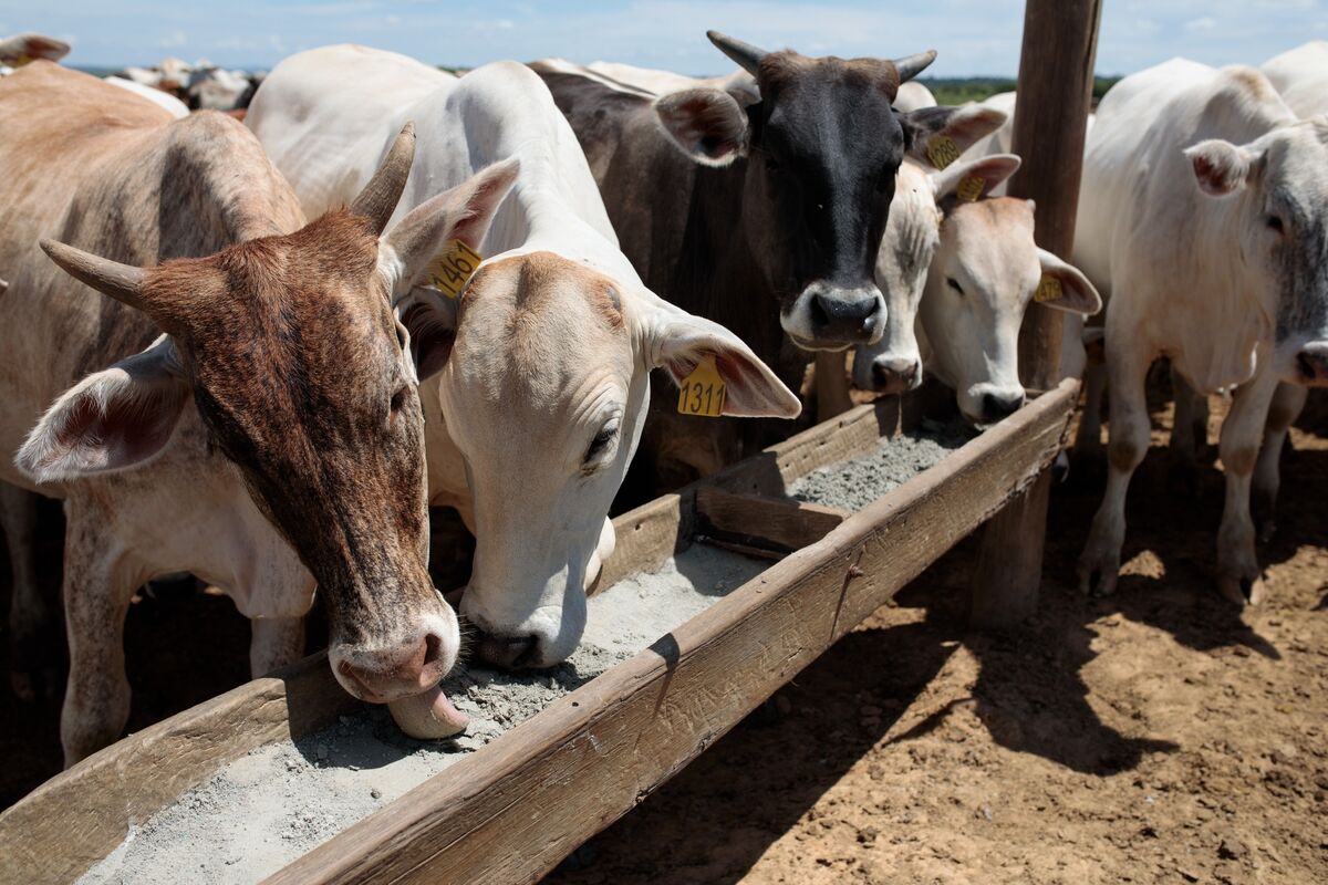 Brazil Races to Safeguard $1.8 Billion of Meat Exports to EU