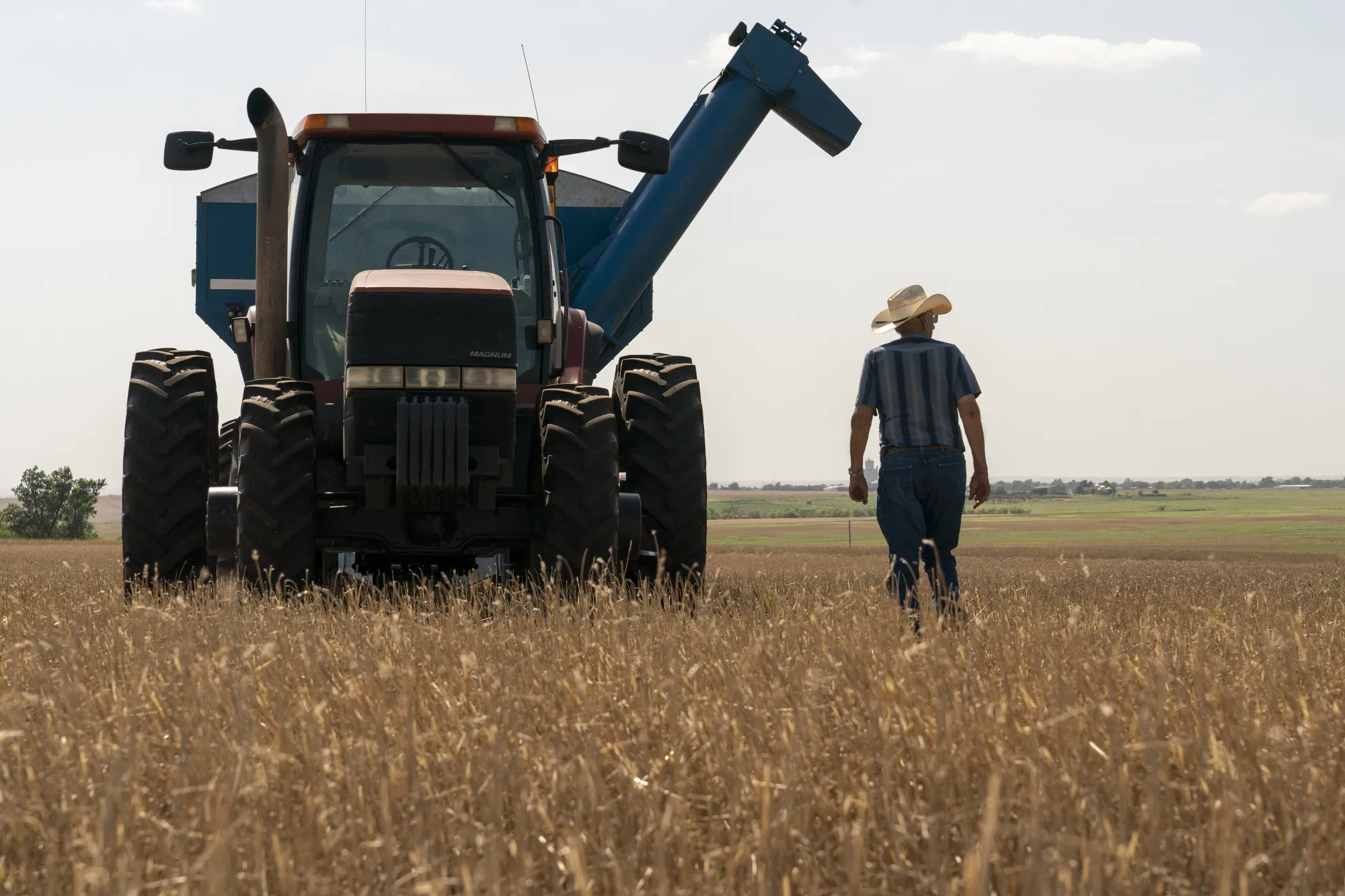 A farmer looks over a harvested field of winter wheat in Corn, Oklahoma.