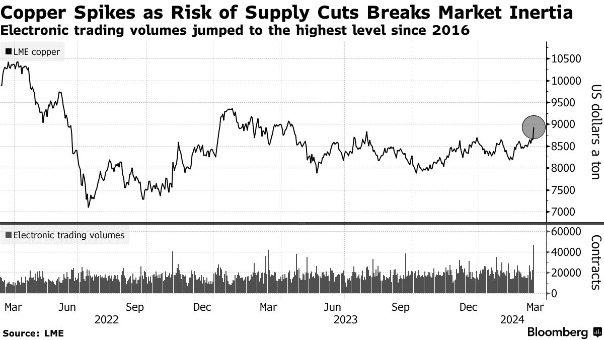 LME銅が11カ月ぶり高値、売買急増－中国精錬業者が減産を検討