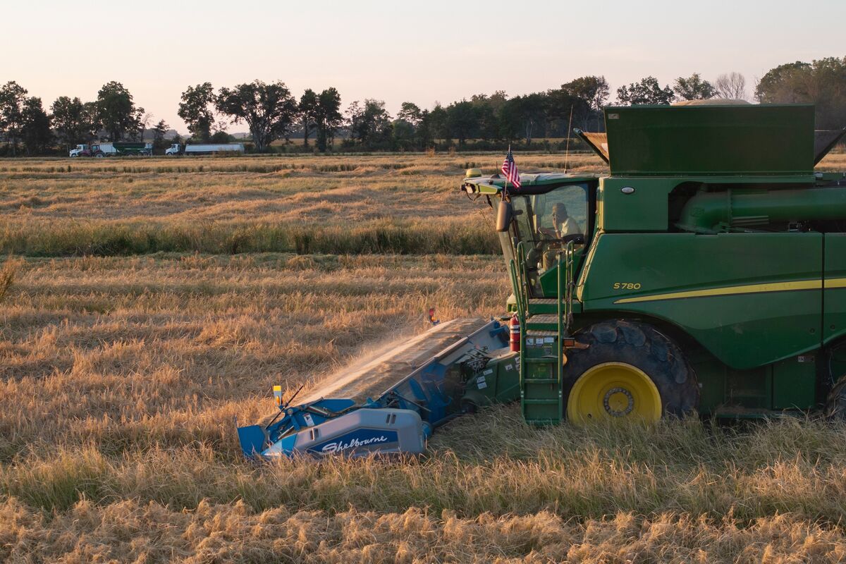 bloomberg.com - Michael Hirtzer - Farmers Are Embracing AI More Than Any Other Tech, McKinsey Says