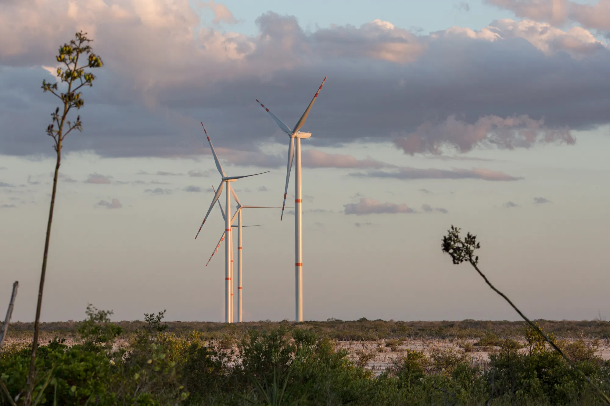 Wind turbines stand near a highway in the town of Dzilam de Bravo near Merida, Yucatan, Mexico.