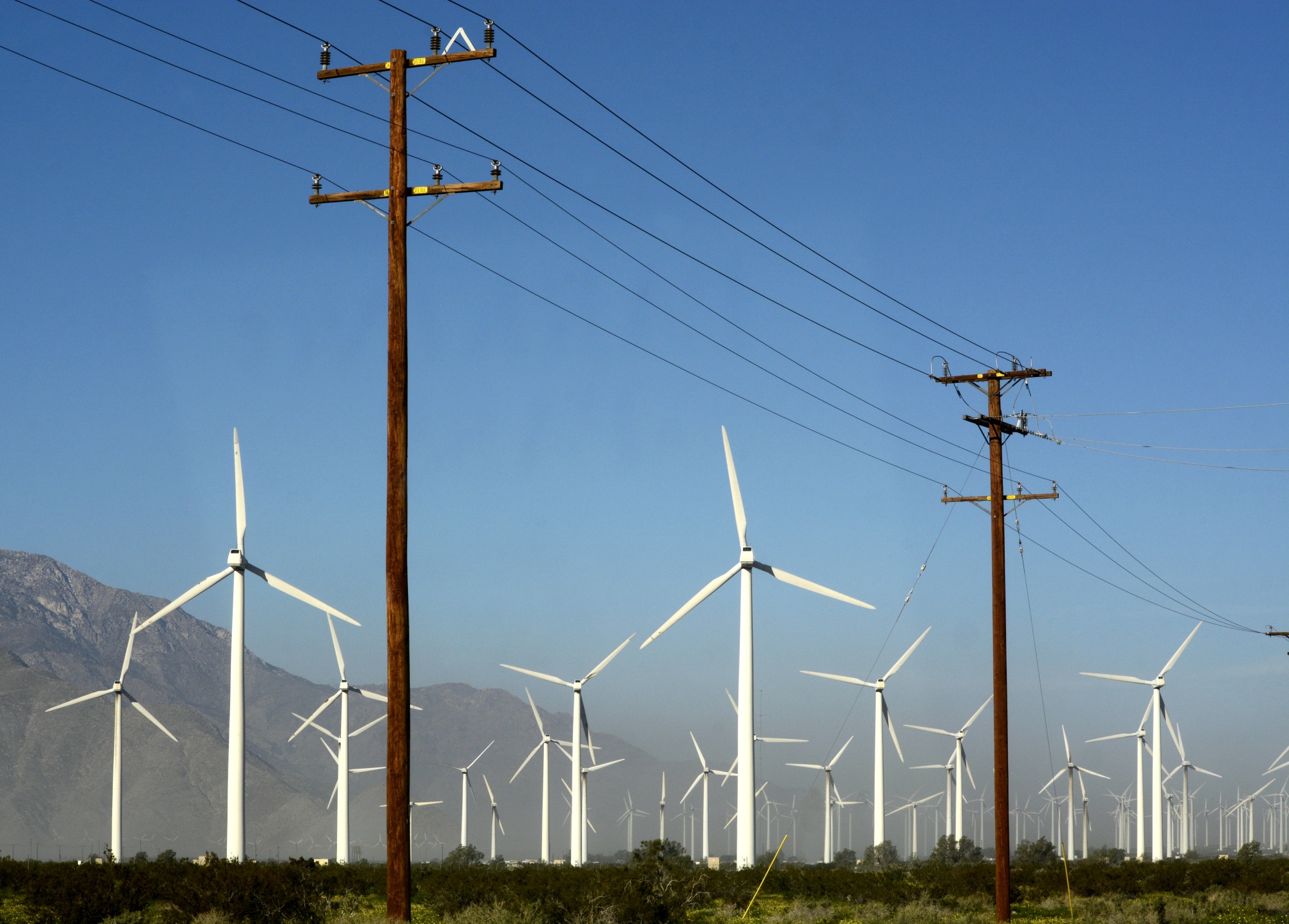 Wind turbines generate electricity near power poles and transmission lines at the San Gorgonio Pass Wind Farm near Palm Springs, California.