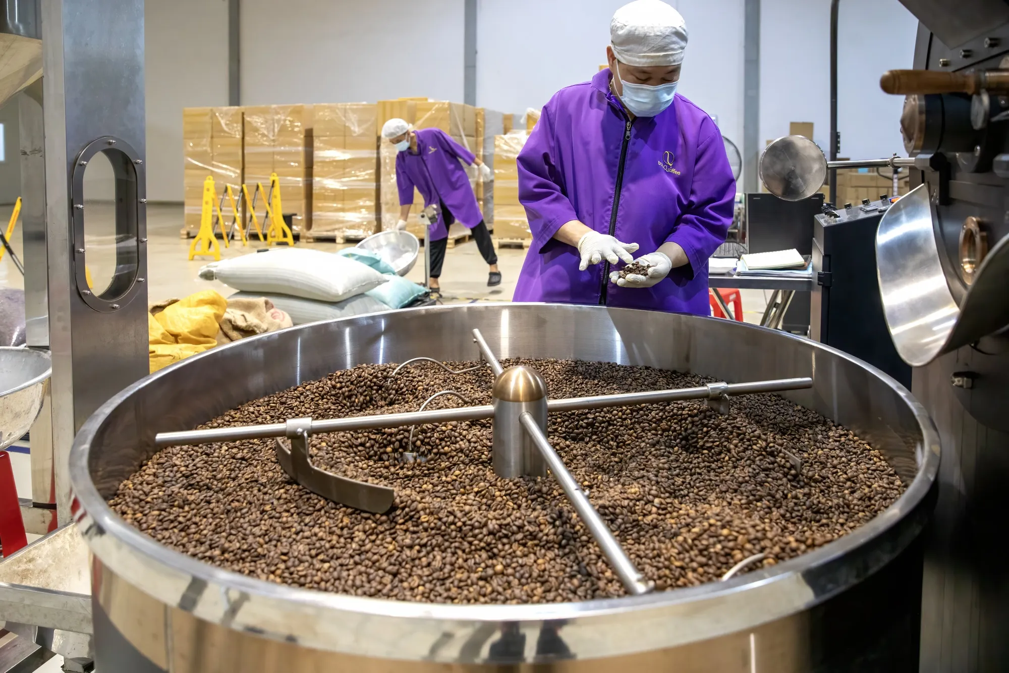 Robusta coffee beans at a factory in Vietnam in 2024.