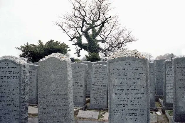 Montefiore Cemetery in Queens, N.Y.