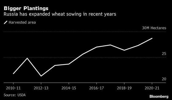 Russian Farmers Undeterred by Export Crackdown, at Least for Now