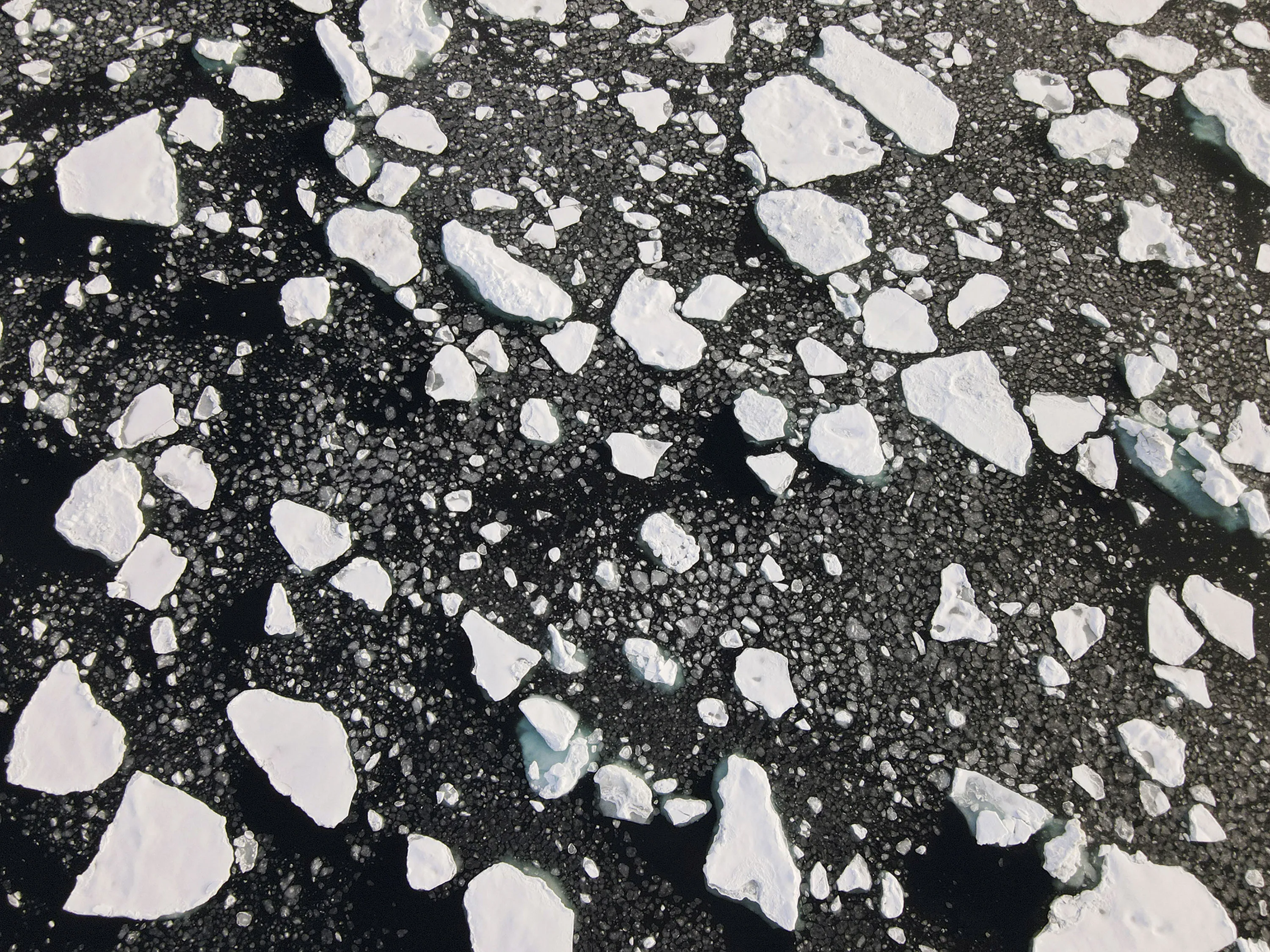 Arctic ice in September.
