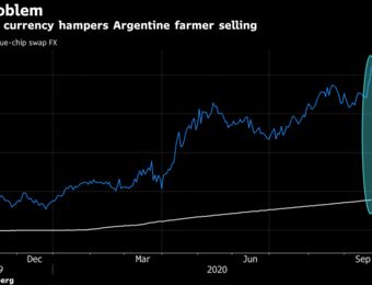 relates to In Argentina’s Soybean Standoff, U.S. Rivals Emerge as Winners