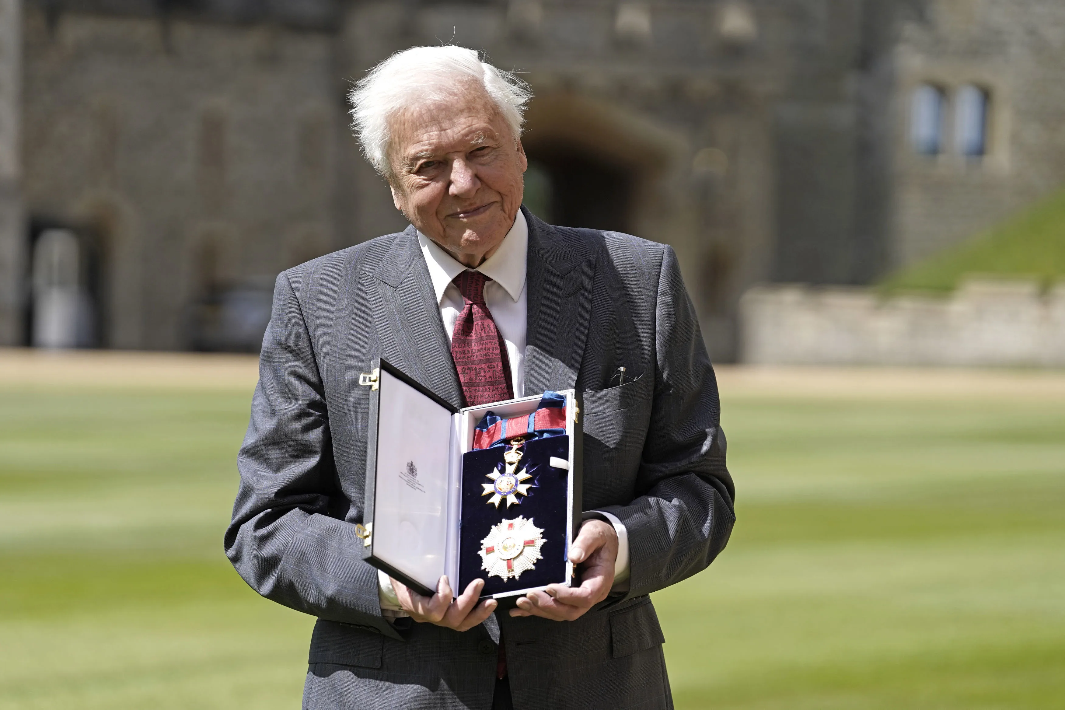 Sir David Attenborough poses for a photo after being appointed a Knight Grand Cross of the Order of St Michael and St George following an investiture ceremony at Windsor Castle, in Windsor, England, June 8, 2022. A fossil of a 560-million-year-old creature, which researchers believe to be the first animal predator, has been named after the British naturalist and broadcaster David Attenborough. Scientists said Monday, July 25, 2022 they believe the specimen, named Auroralumina attenboroughii, is the earliest creature known to have a skeleton.(Jonathan Brady/Pool via AP)