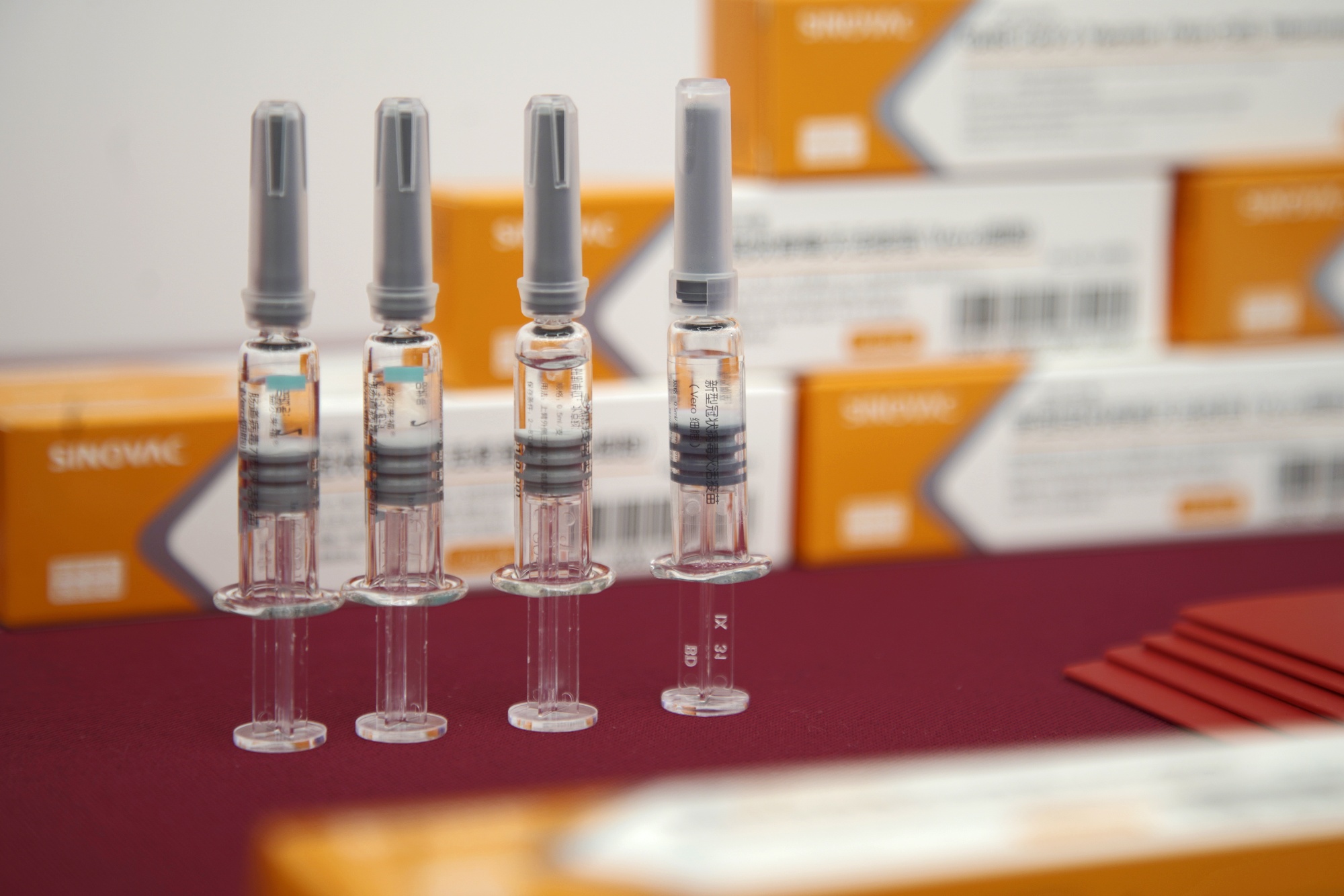 Vials of Sinovac Biotech Ltd.'s CoronaVac SARS-CoV-2 vaccine.
