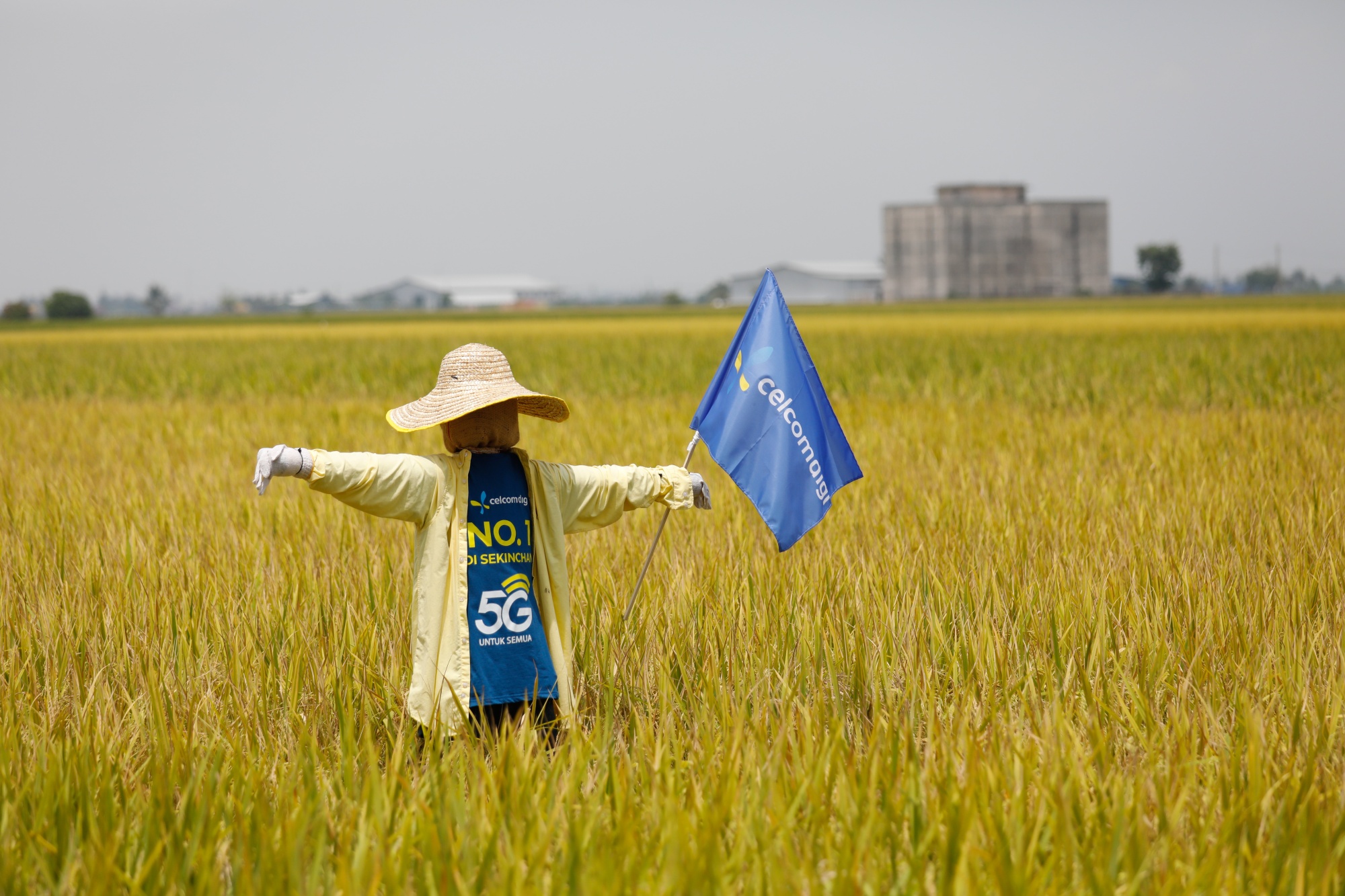 Image associated with story "Malaysia Seeks to Shield Farmland From AI and Chipmaking Booms"