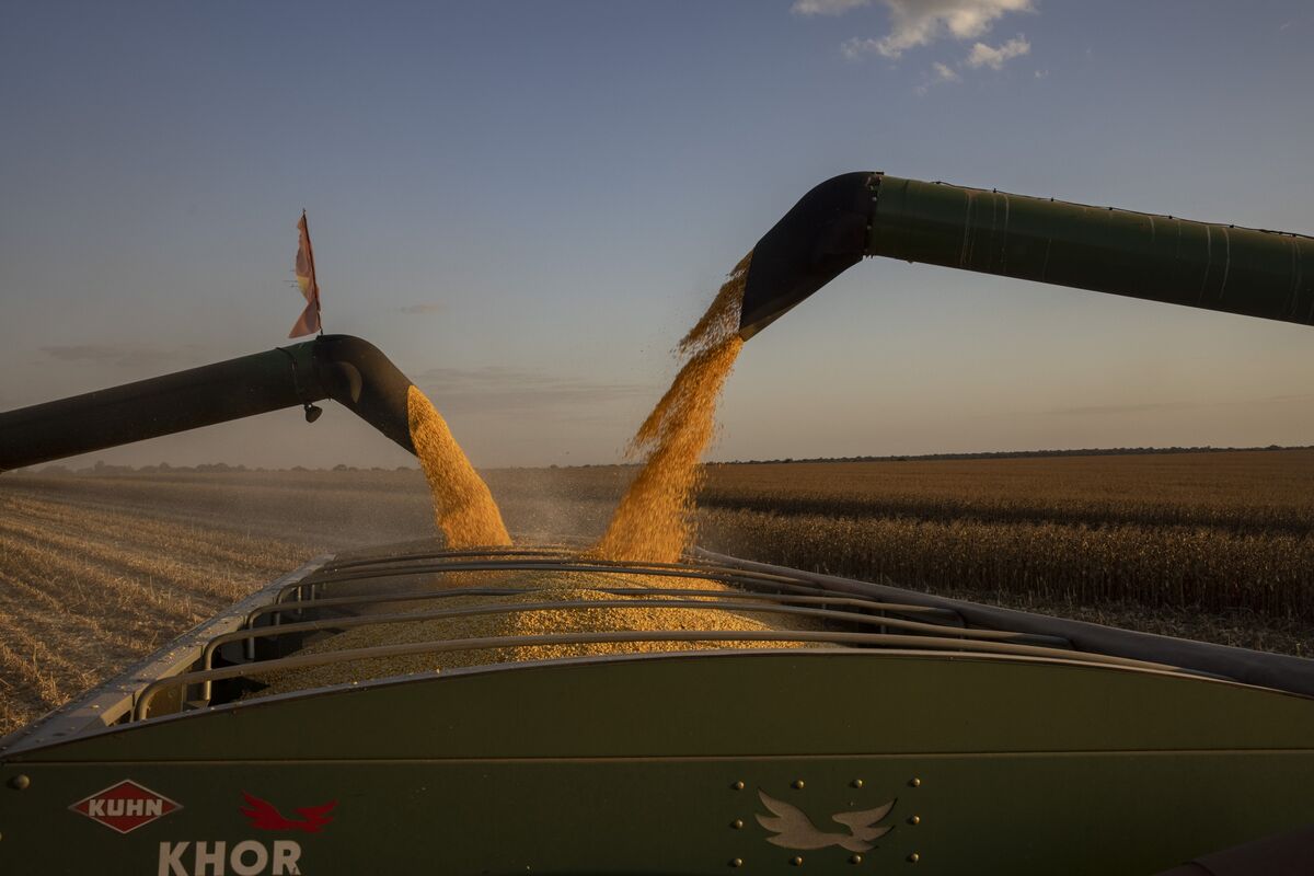 US to Send Dozens of Farm Companies to Philippine Trade Mission