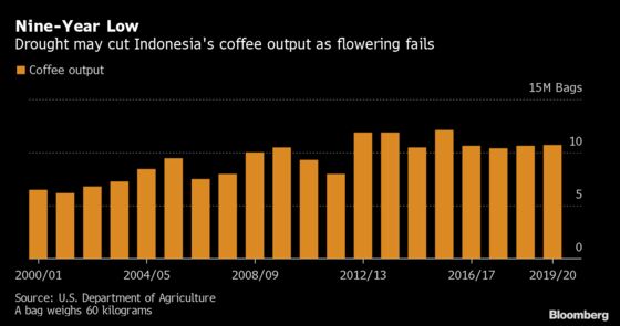 Jolt of Espresso May Cost More as Drought Wilts Indonesia’s Coffee
