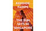 Book Review: Broad themes meet niche topics in Fadipe's debut novel 'The Sun Sets in Singapore'