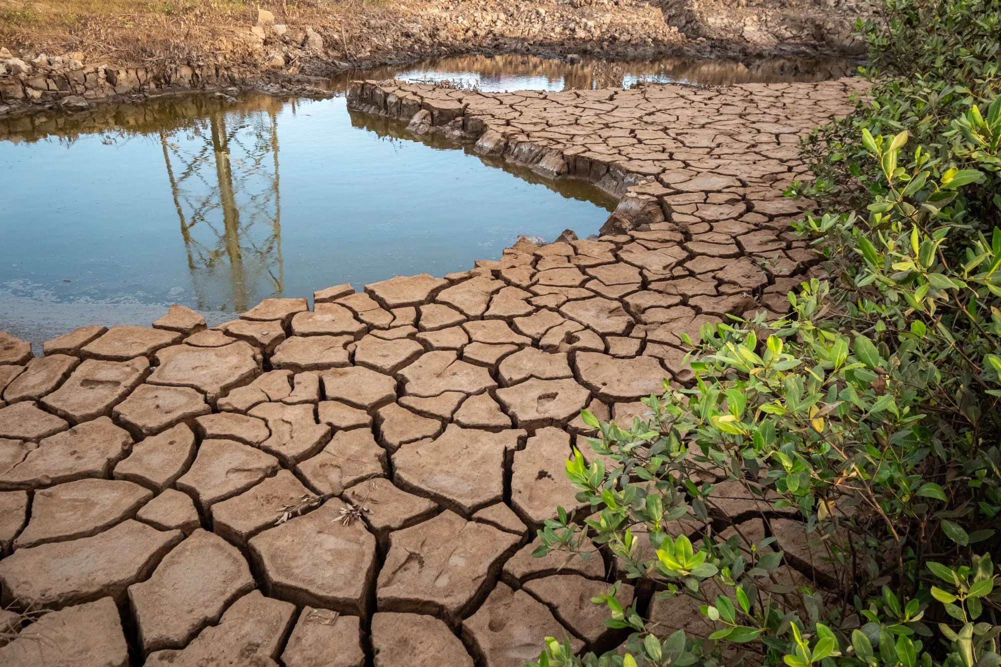 Key information on issues such as water scarcity and access to reliable power supplies can be hard for investors to find and decipher.