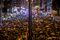Hong Kong Goes on Strike After Weekend Protests