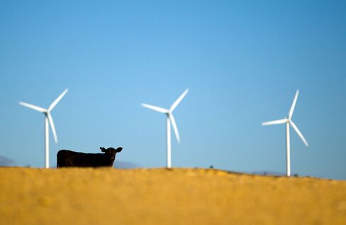 Operations At Capital Wind Farm