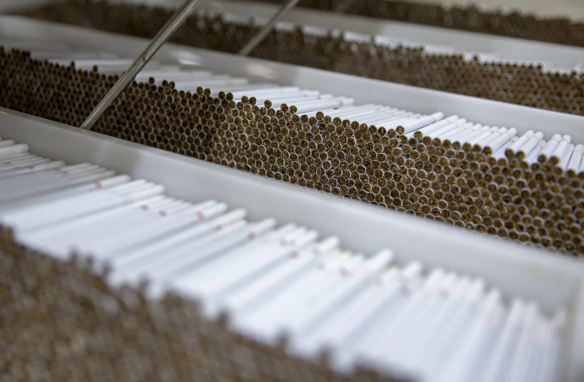 Stacks of rolled LD Ultra-Slim brand cigarettes sit on the production line ahead of packaging at the Japan Tobacco Inc. (JTI) cigarette plant in Senta, Serbia, on Wednesday, Nov. 29, 2017. As he prepares to take the reins as Chief Executive Officer of Japan Tobacco Inc., Masamichi Terabatake said this week that the world's fourth-largest tobacco seller had become too inward-looking and pledged to take more risks.