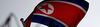The North Korean flag