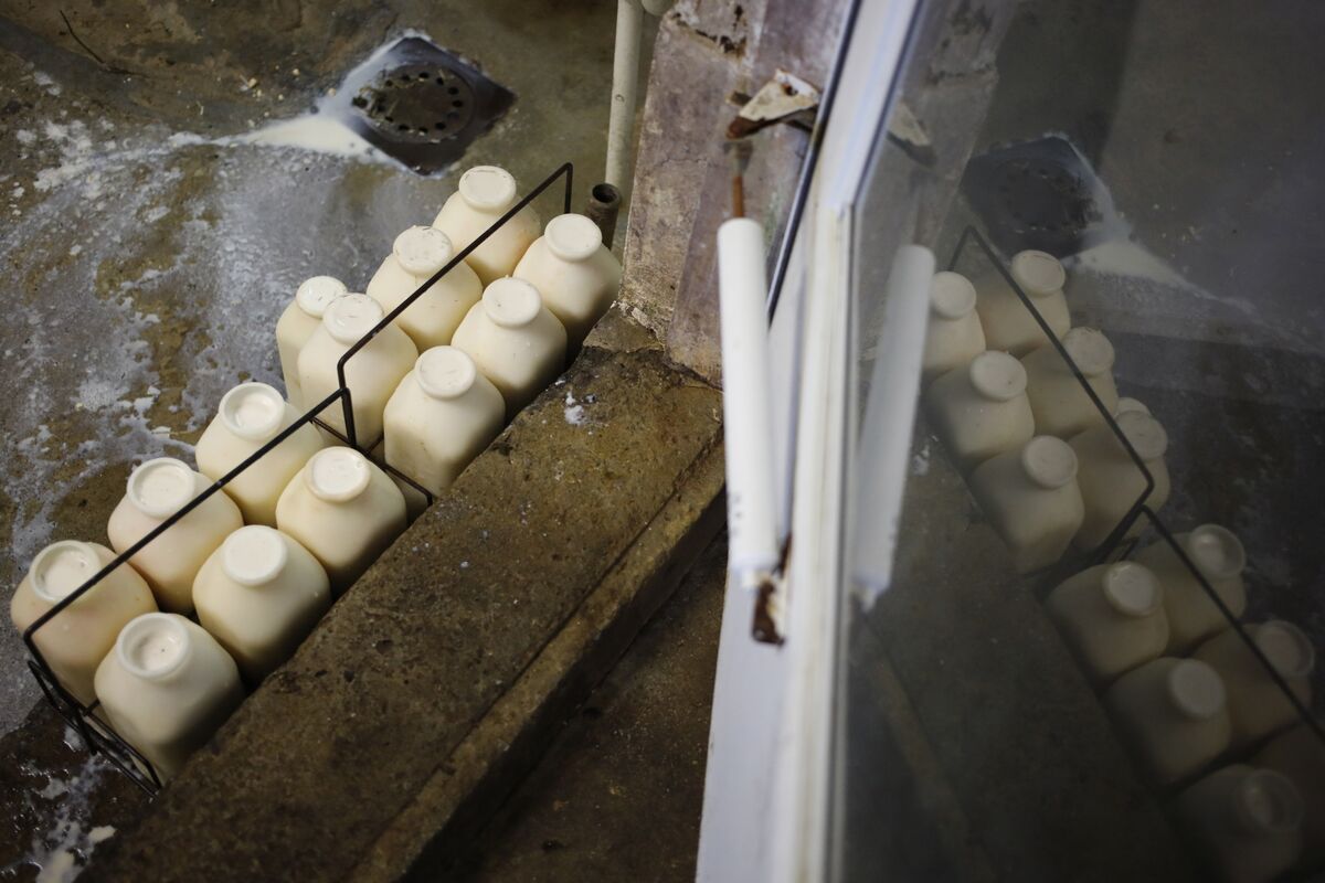 bloomberg.com - Annika Inampudi - Raw Milk Tainted by Bacteria Sickens Dozens of People in Idaho