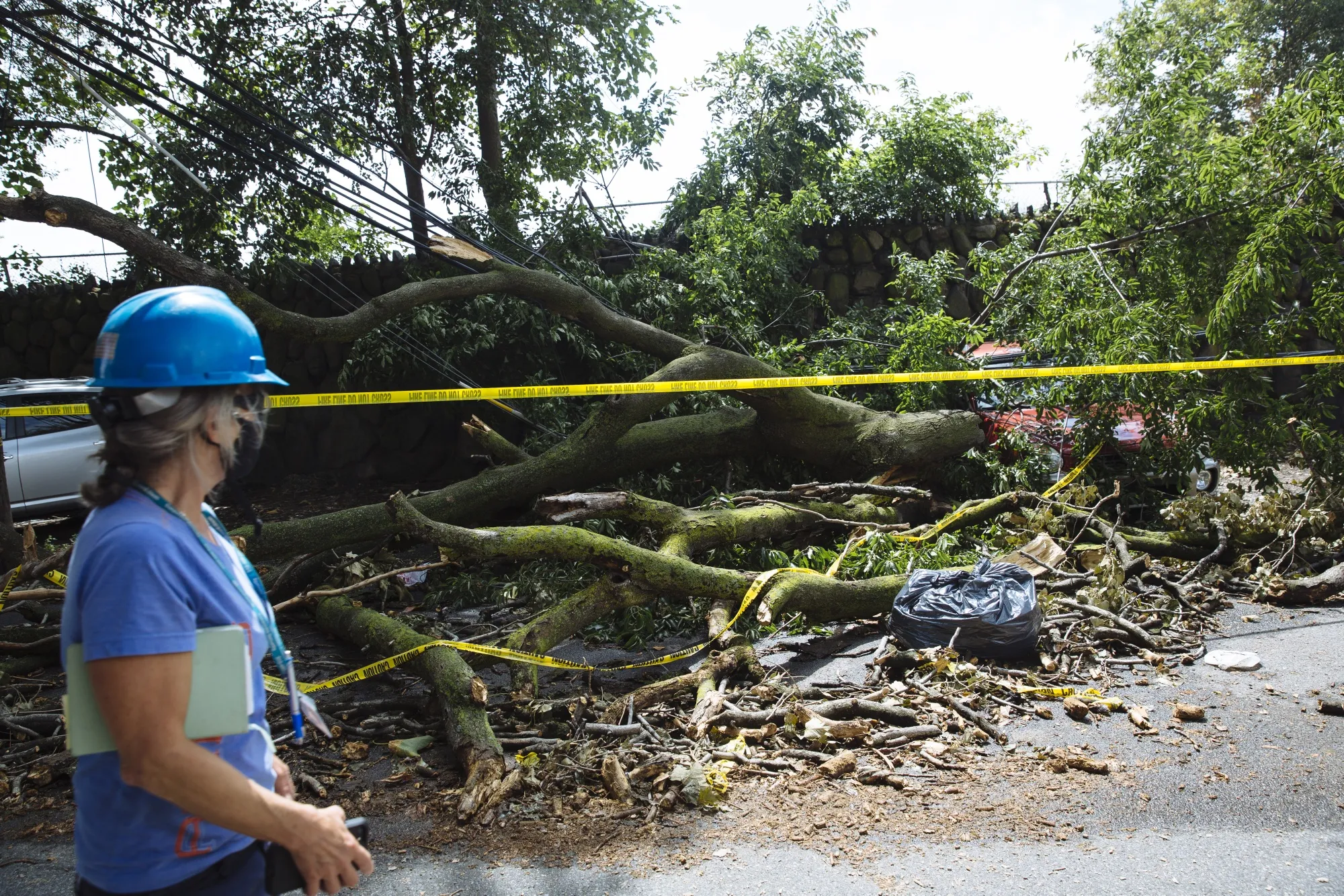 A ConEdiso) worker walks past a downed tree and power lines in Queens.