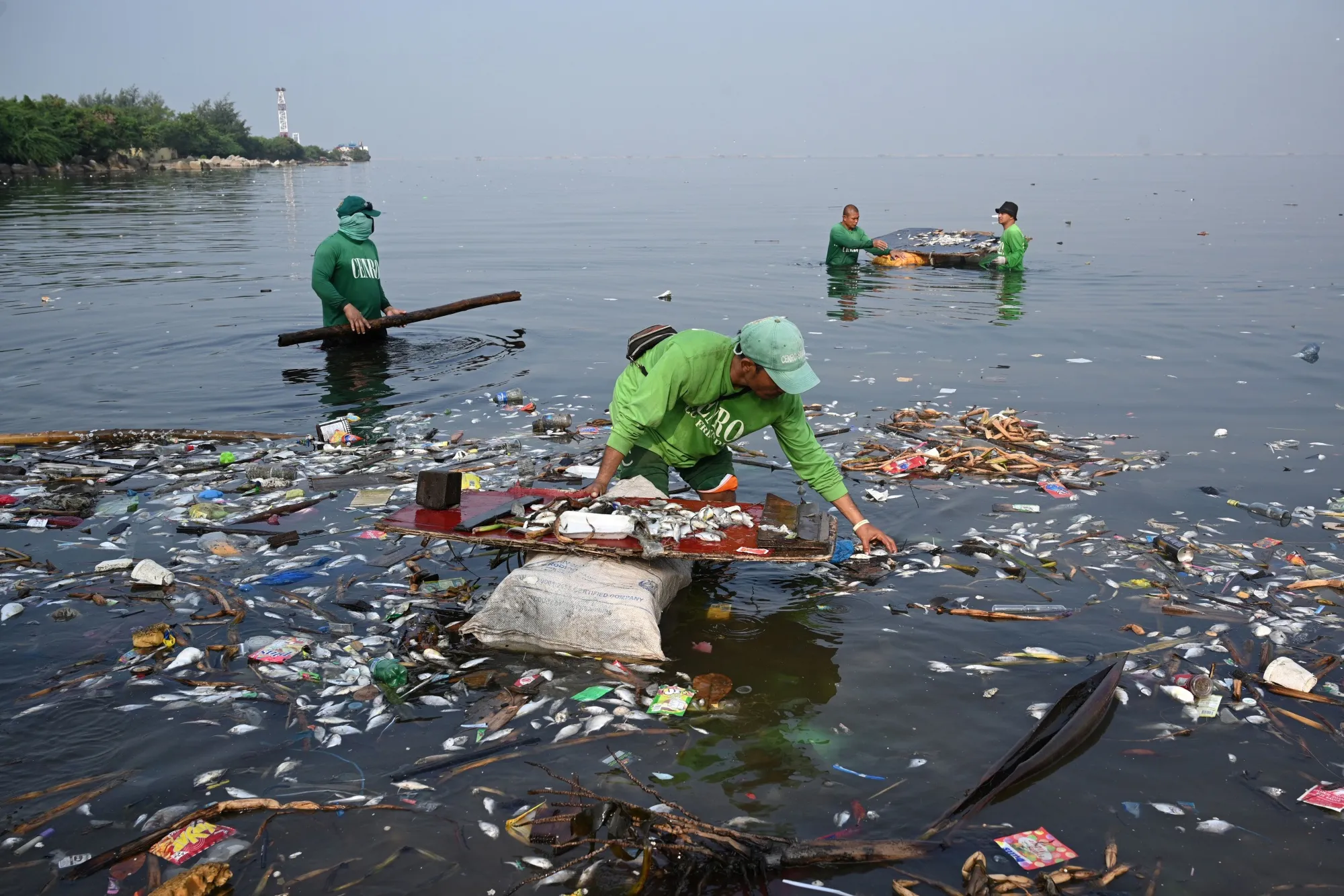 Thousands of Manila Businesses May Be Closed Amid Garbage Crisis - Bloomberg